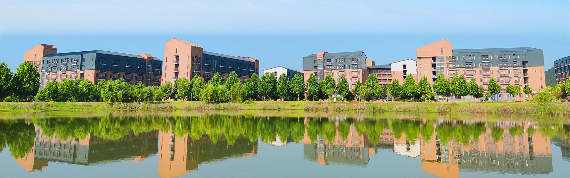 伟德(bevictor)官方网站